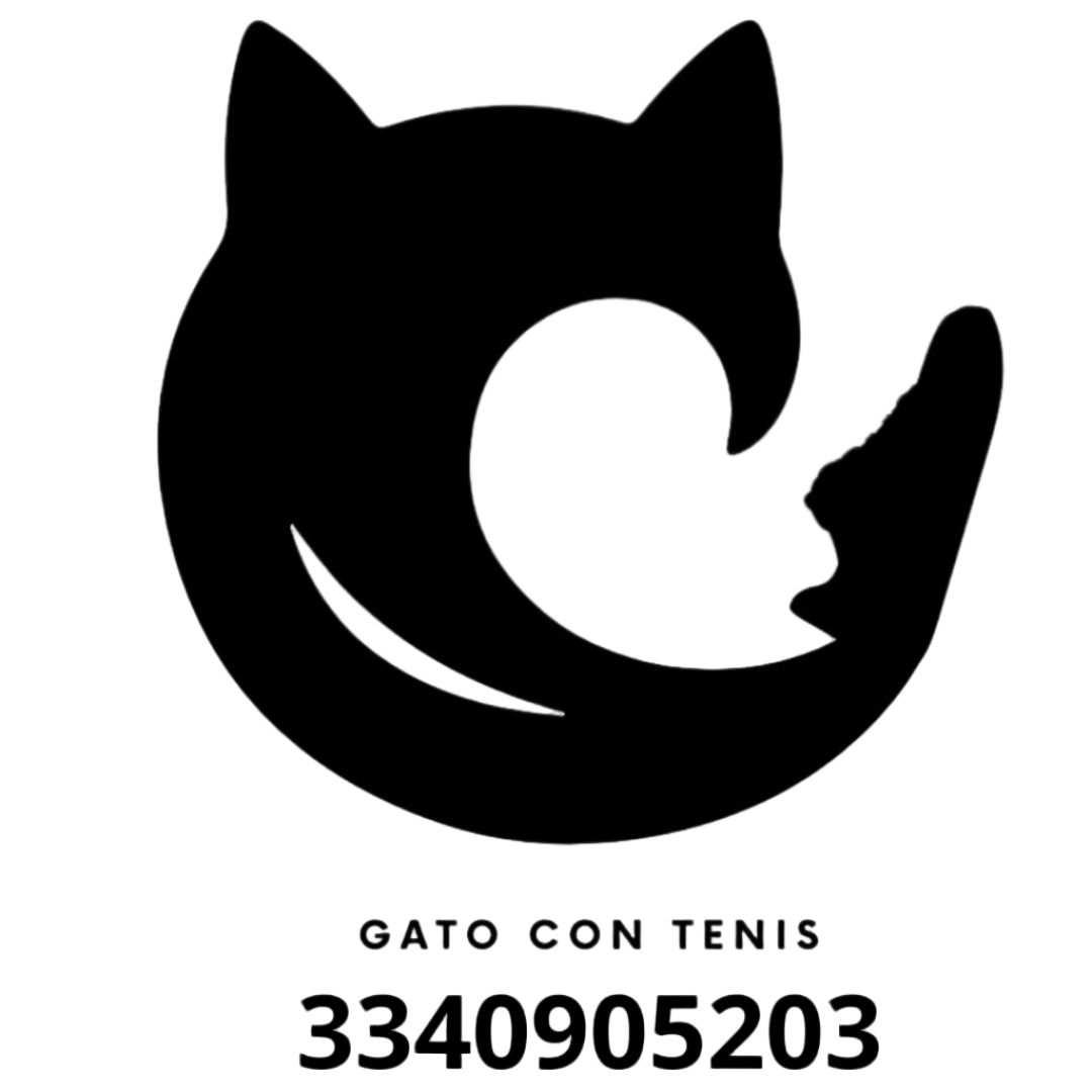 Gato con Tenis